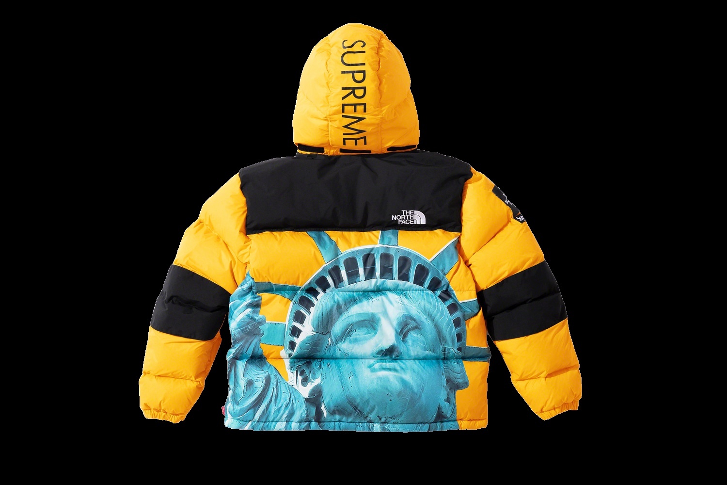 Supreme®/The North Face® Statue of Liberty Baltoro Jacket view 17